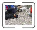 Bild 024 * 640 x 479 * (99KB)